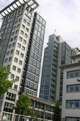 Business for the house