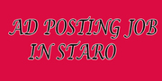 Website Development on Internet (s-99600)