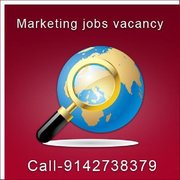 Marketing Executive Job Vacancy in Thrissur-Call 09142738379. 