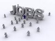 Required  Field Executive