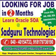 soa training in india