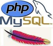 PHP Training in Chandigarh Mohali