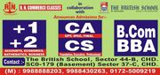 R.N. COMMERCE CLASSES (CS CLASSES)