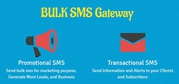 Bulk SMS Marketing Solution