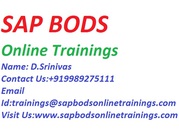 Crucial SAP BODS Training