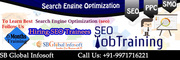 SEO Trainees/Internship Delhi,  New Delhi, 919971716221