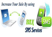 Internet SMS Marketing in Delhi