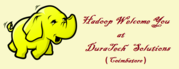 Bigdata and Hadoop Development Training