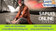 SAPUI5 Online Training by Experts | SAPUI5 Live Training