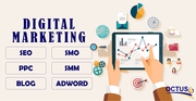 Octus Provide Advance Digital Marketing Course in Noida