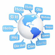 Freelance Experienced Translator 