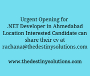 It Job In Ahmedabad