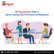 Best SAP HCM SuccessFactors Online Training