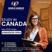 canada visa consultants in chandigarh