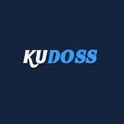 Kudoss IT Solutions - Digital Marketing Experts