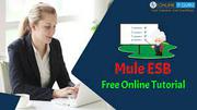 mulesoft online training in India | OnlineITGuru