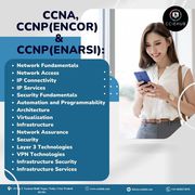 CCNA+CCNP combo Enterprise core Training and Certification