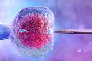 Clinical Embryology Course in Bangalore - Top Ivf Training Centres in 