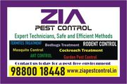 Zia Pest control | General pest cleaning service | Appartments | 5087