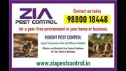 Rodent Control Treatment | Appartments and school Specil Discount | 60