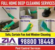 Hygienic Deep Cleaning for a Fresh | Healthy Home | Call Us Today | 25