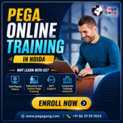 Fast-Track Pega Online Training in Noida with Certification Support