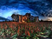 GOLDEN OPPORTUNITY FOR ANY ONE OVER 18 YEARS TO EARN HUGE MONEY